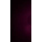 1266240276.jpg