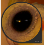 1298638705.png