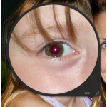 1323746418.png