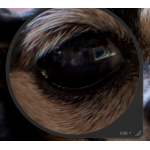 1358077167.png