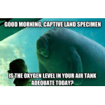 1359619098.png