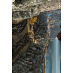 IMG_0067.PNG